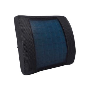 Lumber support cushion, with cooling gel.Location Mississauga ontario Canada